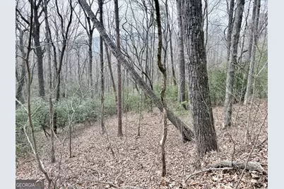 0 Monarch Lane, Clayton, GA 30525 - Photo 5