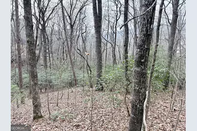 0 Monarch Lane, Clayton, GA 30525 - Photo 1