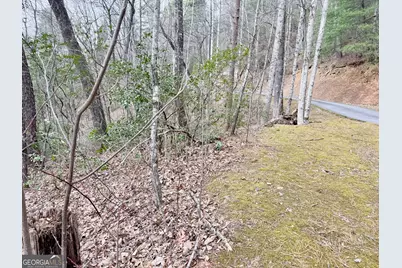 0 Monarch Lane, Clayton, GA 30525 - Photo 3