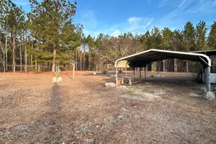 2757 Ben Carter Rd, Baxley, GA 31513 - Photo 11