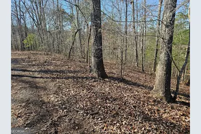 1.16 Marie Drive #1802B, Talking Rock, GA 30175 - Photo 3