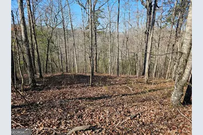 1.16 Marie Drive #1802B, Talking Rock, GA 30175 - Photo 7