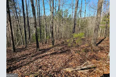 1.16 Marie Drive #1802B, Talking Rock, GA 30175 - Photo 11