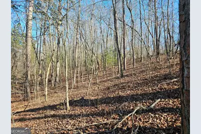 1.16 Marie Drive #1802B, Talking Rock, GA 30175 - Photo 15