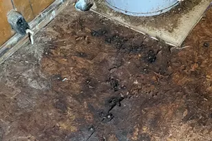 213 E Church St, Sandersville, GA 31082 - Photo 41