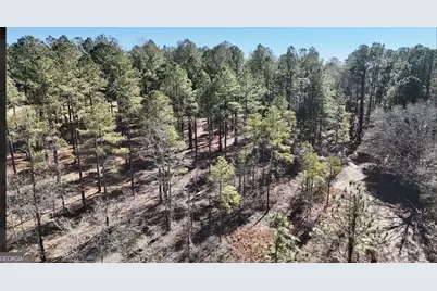 000 Mosley Bridge Road, Claxton, GA 30417 - Photo 5