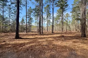 000 Mosley Bridge Rd, Claxton, GA 30417 - Photo 1