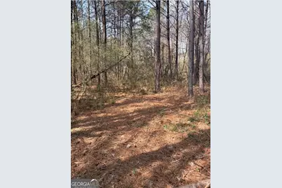 950 John W Breedlove Road, Monroe, GA 30656 - Photo 3