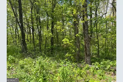 0 Burnt Mountain Cove Road, Jasper, GA 30143 - Photo 5