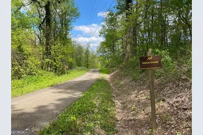 0 Burnt Mountain Cove Road, Jasper, GA 30143 - Photo 3