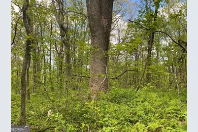 0 Burnt Mountain Cove Road, Jasper, GA 30143 - Photo 7