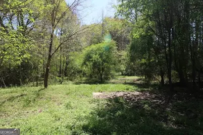 0 Old Conyers Road, Stockbridge, GA 30281 - Photo 3