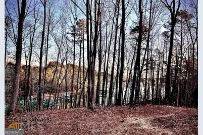 Lot 11 Tom Cobb, Hartwell, GA 30643 - Photo 5