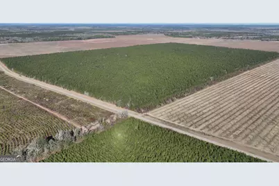 0 Belmont Road, Louisville, GA 30434 - Photo 3