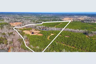 0 Warren Road, White Plains, GA 30678 - Photo 11