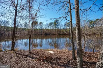 0 Warren Road, White Plains, GA 30678 - Photo 17