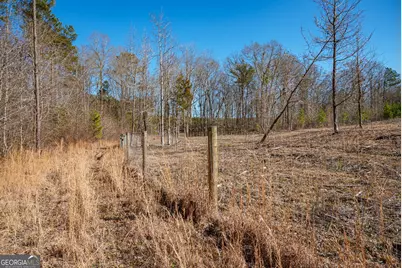 0 Warren Road, White Plains, GA 30678 - Photo 19
