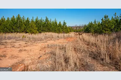 0 Warren Road, White Plains, GA 30678 - Photo 27