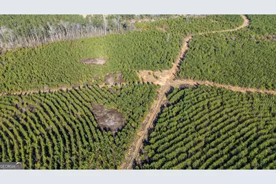 0 Warren Road, White Plains, GA 30678 - Photo 3