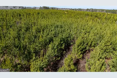 0 Warren Road, White Plains, GA 30678 - Photo 13