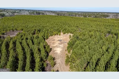 0 Warren Road, White Plains, GA 30678 - Photo 29