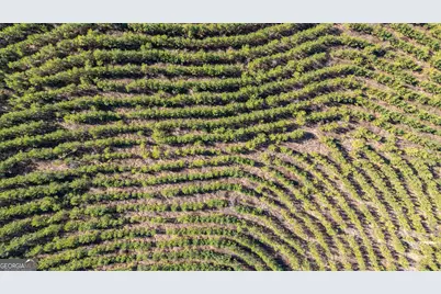 0 Warren Road, White Plains, GA 30678 - Photo 15