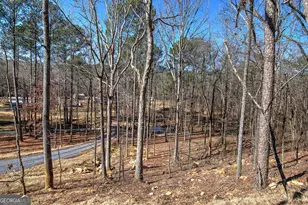 676 Flowery Branch Rd, Kingston, GA 30145 - Photo 63