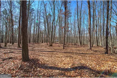 676 Flowery Branch Road, Kingston, GA 30145 - Photo 47