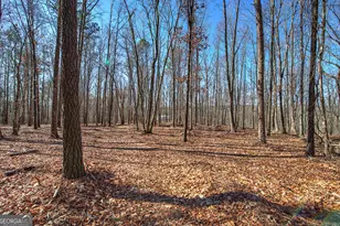 676 Flowery Branch Rd, Kingston, GA 30145 - Photo 47