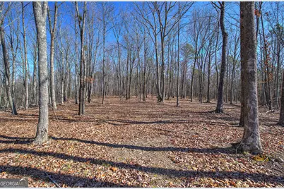 676 Flowery Branch Road, Kingston, GA 30145 - Photo 57