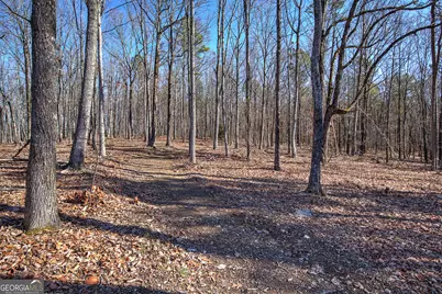 676 Flowery Branch Road, Kingston, GA 30145 - Photo 43