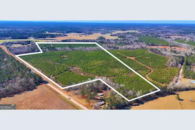 0 Crawfordville Road, White Plains, GA 30678 - Photo 9