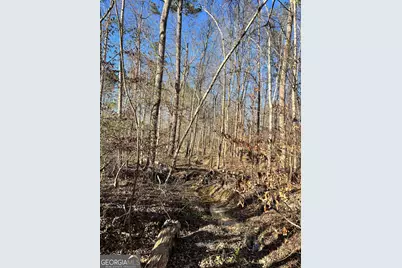 0 Crawfordville Road, White Plains, GA 30678 - Photo 21
