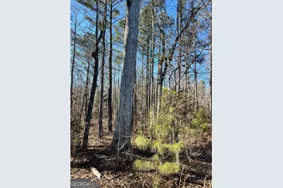 0 Crawfordville Road, White Plains, GA 30678 - Photo 19