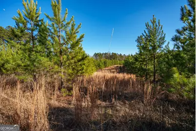 0 Crawfordville Road, White Plains, GA 30678 - Photo 3