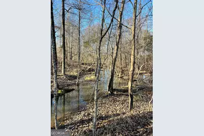 0 Crawfordville Road, White Plains, GA 30678 - Photo 1