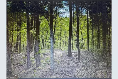 1358 Hunter Drive, Ranger, GA 30734 - Photo 3