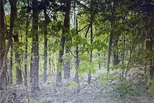 1358 Hunter Dr, Ranger, GA 30734 - Photo 1