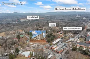 210 Blue Ridge Ave, Demorest, GA 30535 - Photo 69