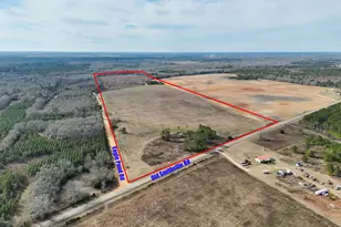 0 Eagle Pond / Old Smithville Rd, Leesburg, GA 31763 - Photo 1