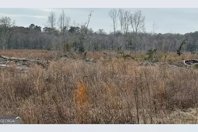 0 Eagle Pond / Old Smithville Road, Leesburg, GA 31763 - Photo 41