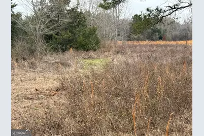 0 Eagle Pond / Old Smithville Road, Leesburg, GA 31763 - Photo 39