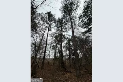 0 Eagle Pond / Old Smithville Road, Leesburg, GA 31763 - Photo 37