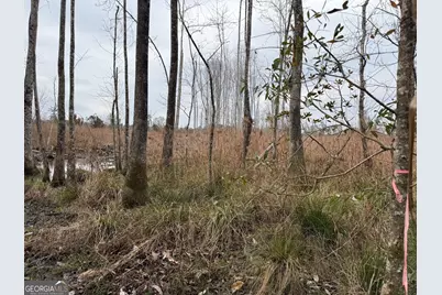 0 Eagle Pond / Old Smithville Road, Leesburg, GA 31763 - Photo 49