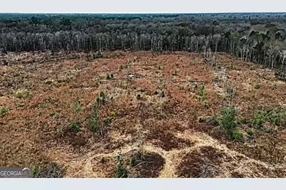 0 Eagle Pond / Old Smithville Road, Leesburg, GA 31763 - Photo 11