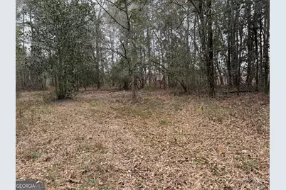 0 Eagle Pond / Old Smithville Road, Leesburg, GA 31763 - Photo 29