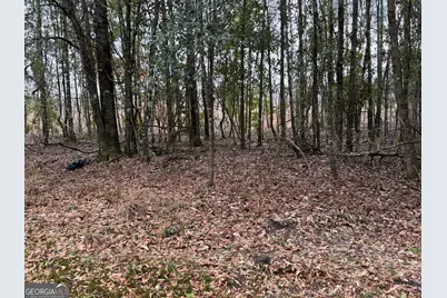 0 Eagle Pond / Old Smithville Road, Leesburg, GA 31763 - Photo 31