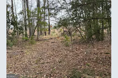 0 Eagle Pond / Old Smithville Road, Leesburg, GA 31763 - Photo 19
