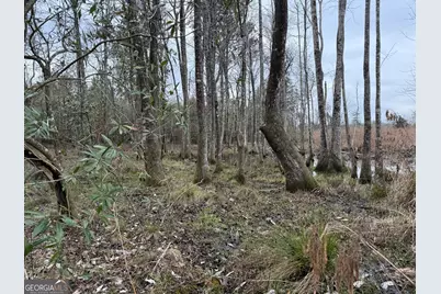 0 Eagle Pond / Old Smithville Road, Leesburg, GA 31763 - Photo 51