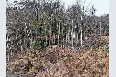 0 Eagle Pond / Old Smithville Road, Leesburg, GA 31763 - Photo 3